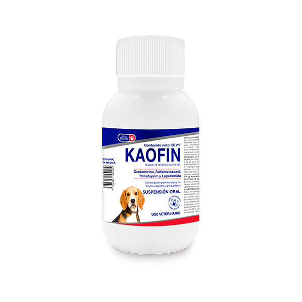 KAOFIN