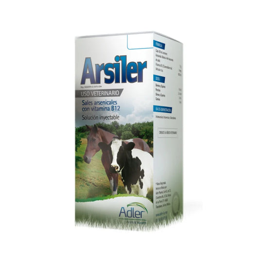 Arsiler