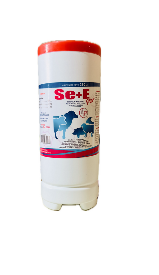 Se+E Pier