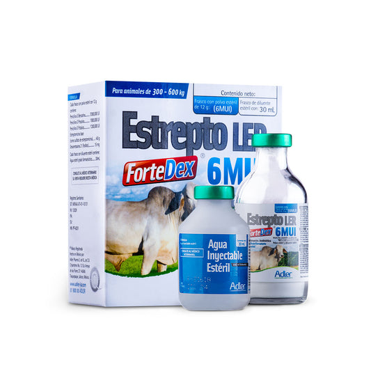 Estrepto LER Forte Dex 6MUI