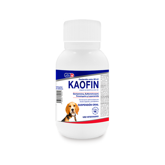 KAOFIN