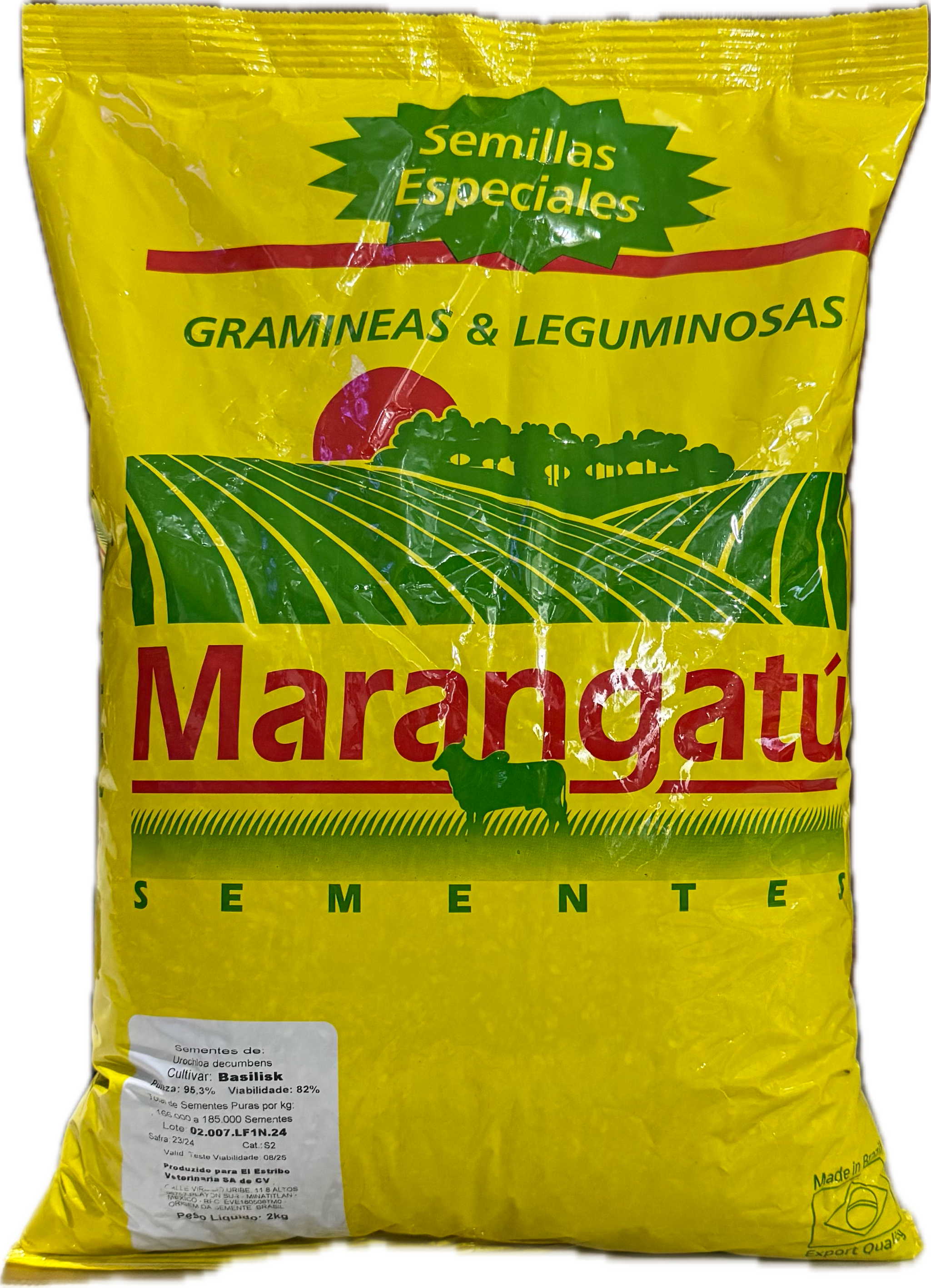 Semilla de Pasto Basilisk