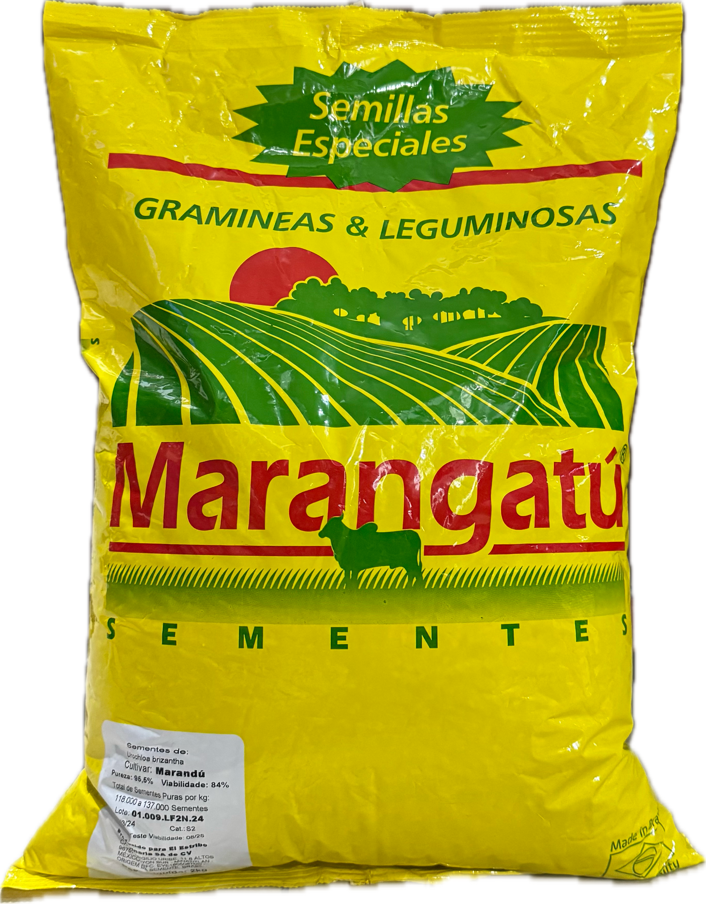 Semilla de Pasto Marandú(INSURGENTES)