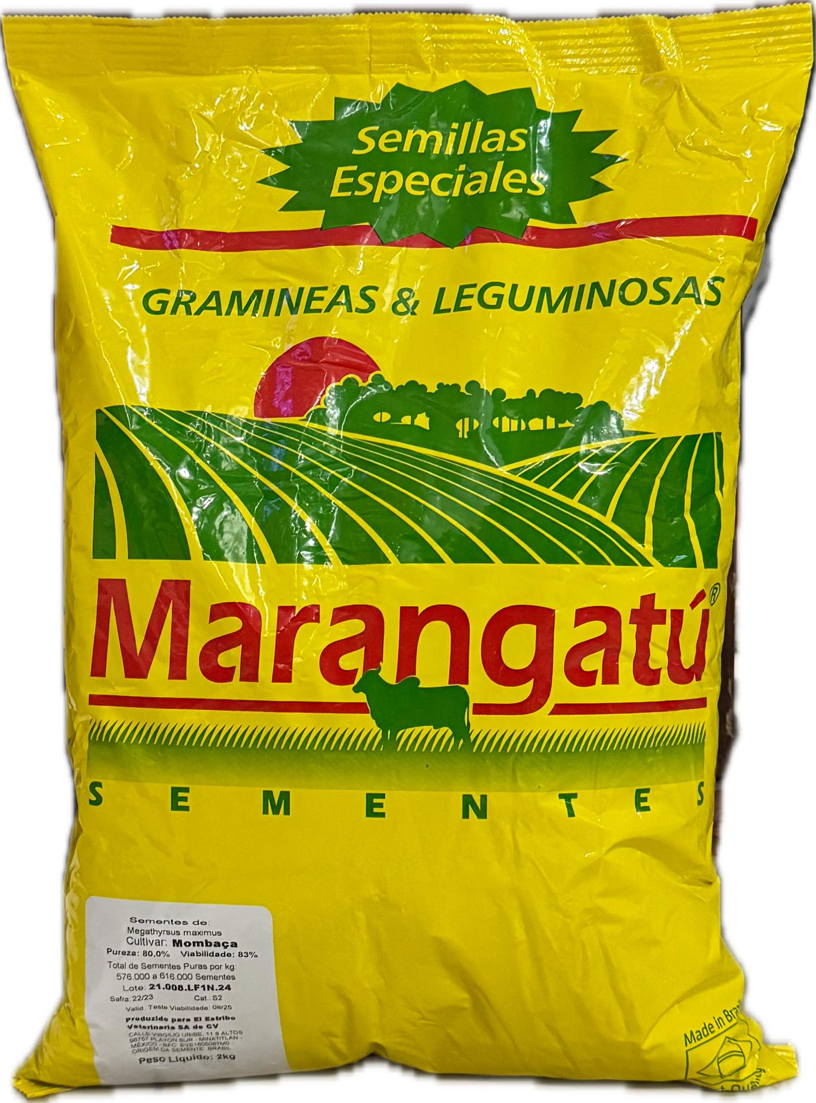 Semilla de pasto mombaça