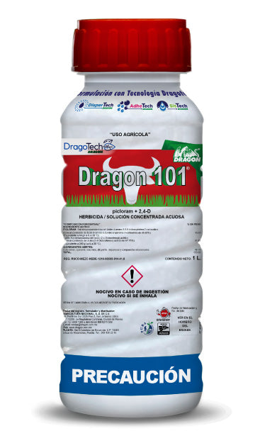 Dragón® 101