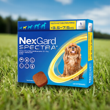 NexGard